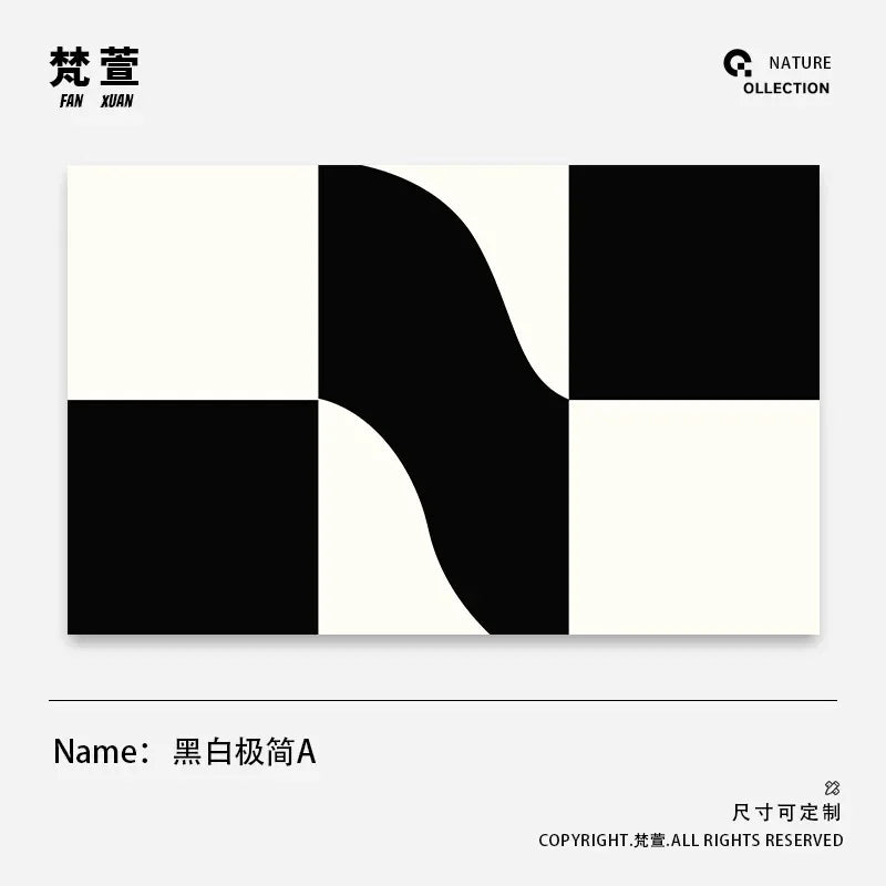 Minimalist Geometric Area Rug - Luxury Black & White Carpet for Living Room & Bedroom