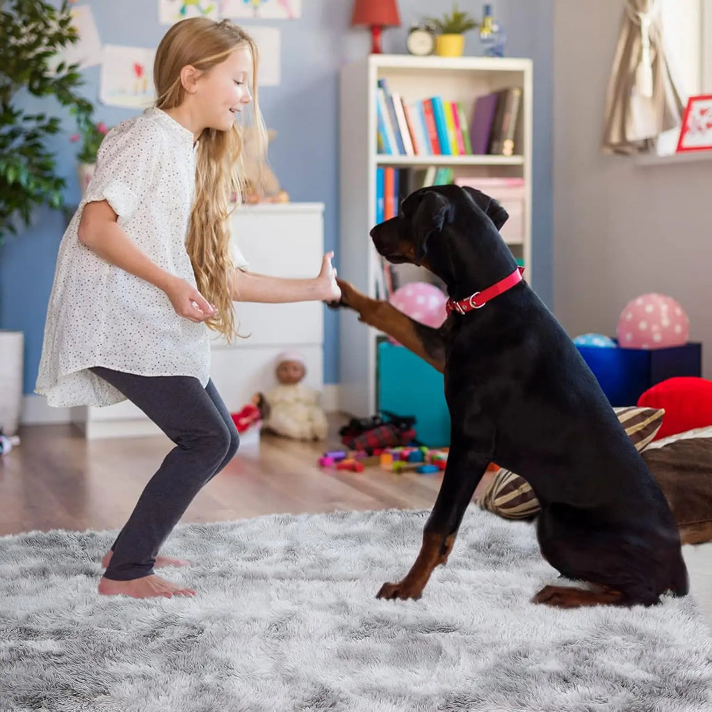 Dyed Plush Fluffy Rug - Soft Anti-Slip Carpet for Living Room & Kids Room