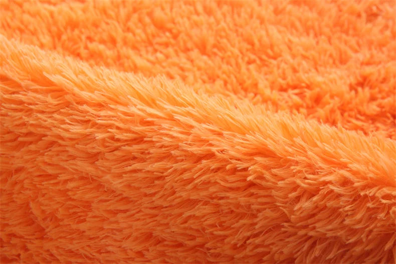 Premium Fluffy Shag Rug - Extra Soft Area Carpet for Living Room