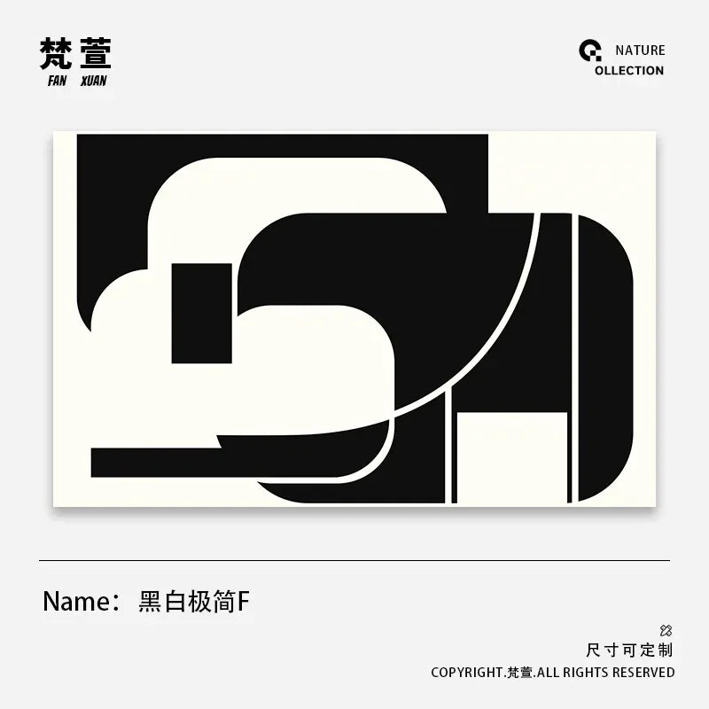 Minimalist Geometric Area Rug - Luxury Black & White Carpet for Living Room & Bedroom