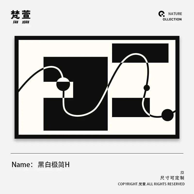 Minimalist Geometric Area Rug - Luxury Black & White Carpet for Living Room & Bedroom