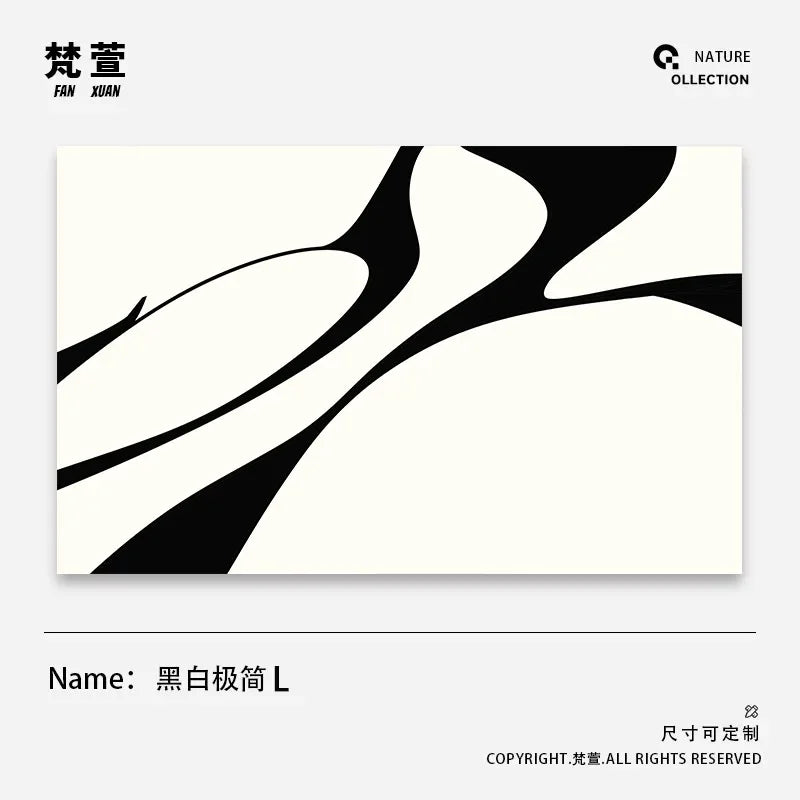 Minimalist Geometric Area Rug - Luxury Black & White Carpet for Living Room & Bedroom